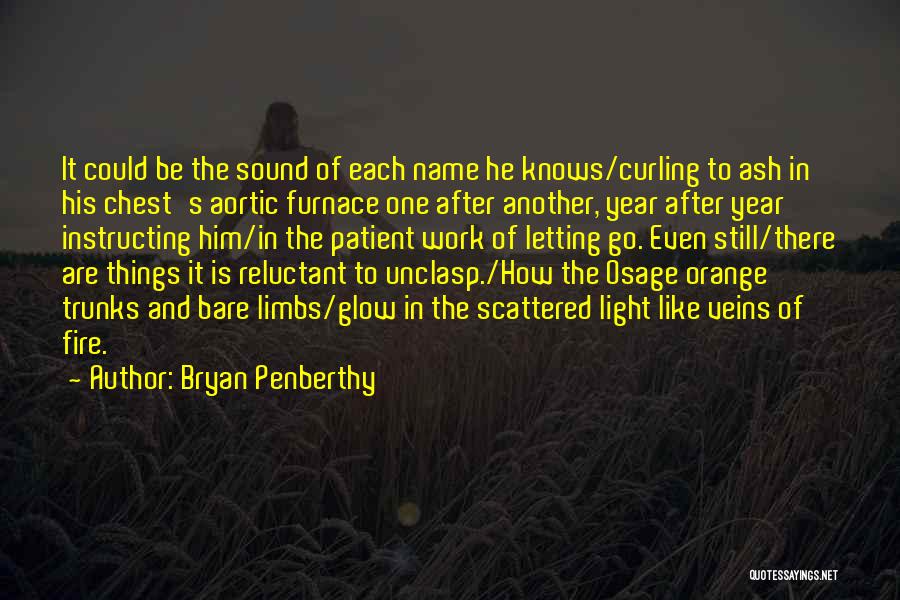 Letting Things Go Quotes By Bryan Penberthy