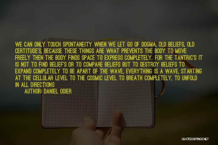 Letting Things Go Quotes By Daniel Odier