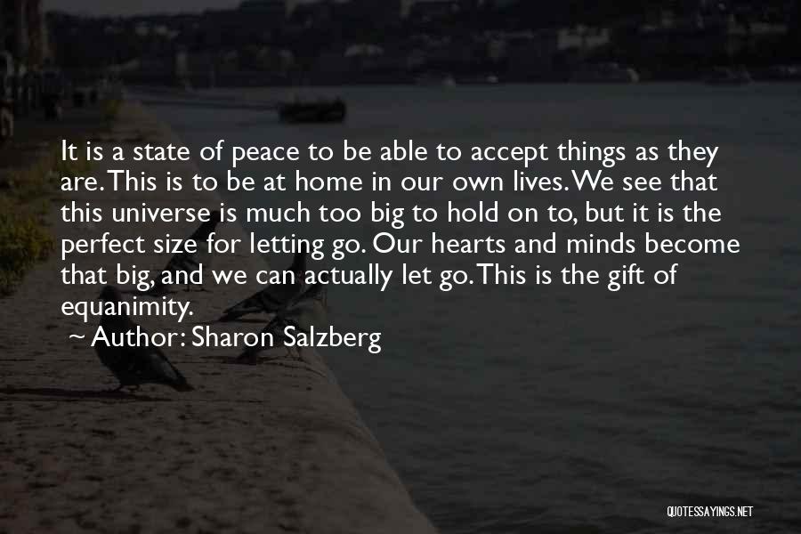 Letting Things Go Quotes By Sharon Salzberg