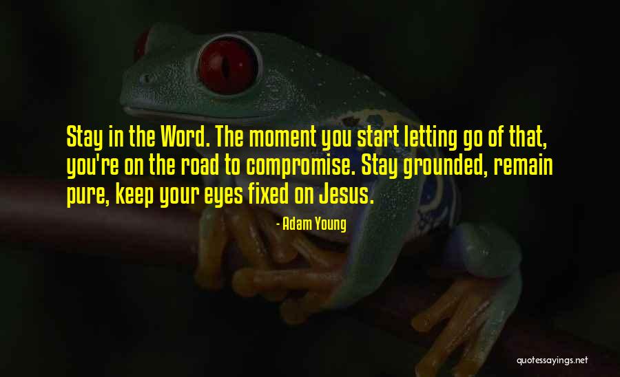 Letting You Go Quotes By Adam Young Letting You Go Quotes By Adam Young