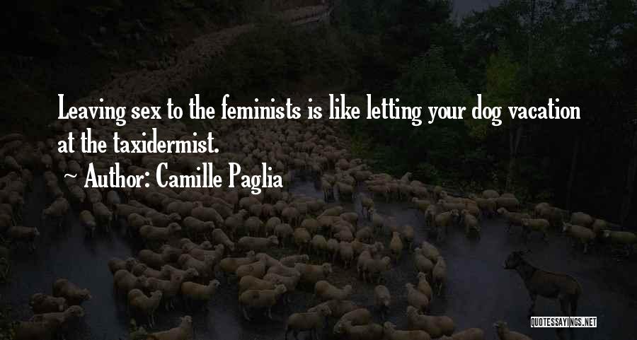 Letting Your Dog Go Quotes By Camille Paglia