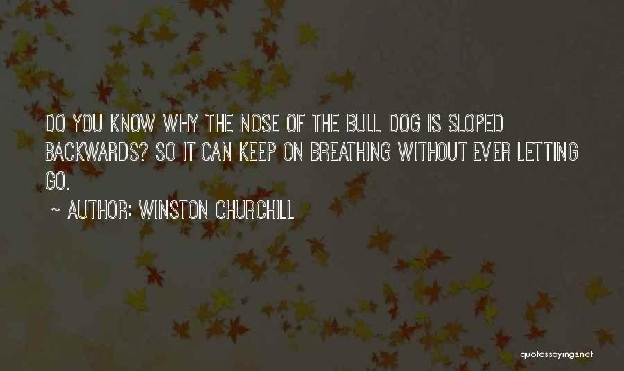 Letting Your Dog Go Quotes By Winston Churchill