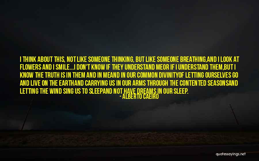 Letting Your Dreams Go Quotes By Alberto Caeiro