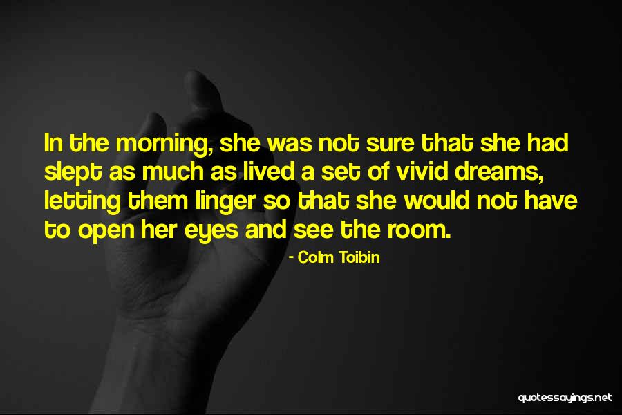 Letting Your Dreams Go Quotes By Colm Toibin