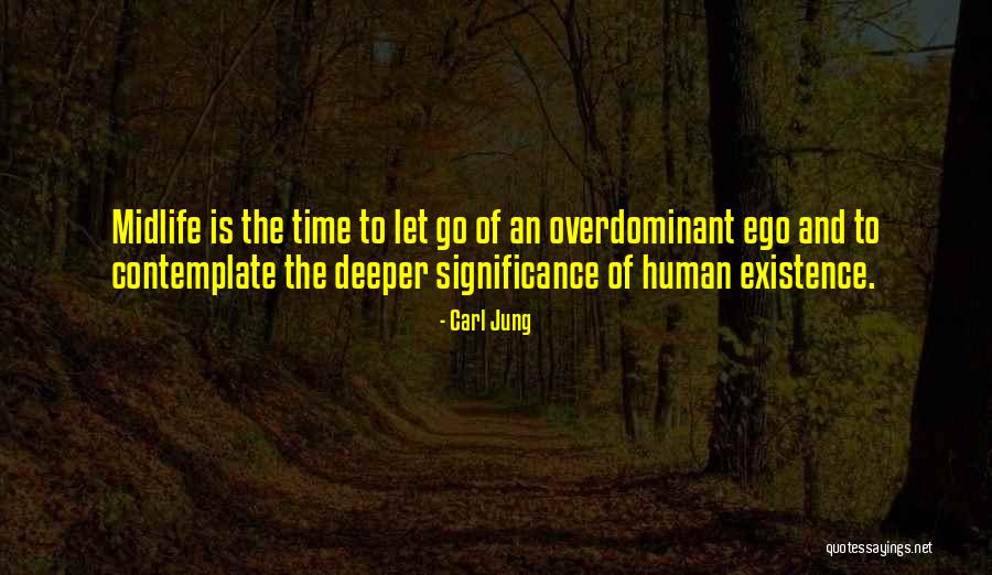 Letting Your Ego Go Quotes By Carl Jung Letting Your Ego Go Quotes By Carl Jung