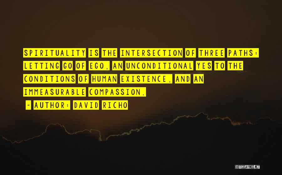 Letting Your Ego Go Quotes By David Richo