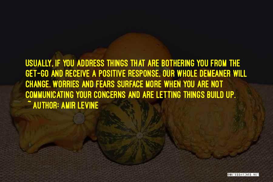 Letting Your Worries Go Quotes By Amir Levine