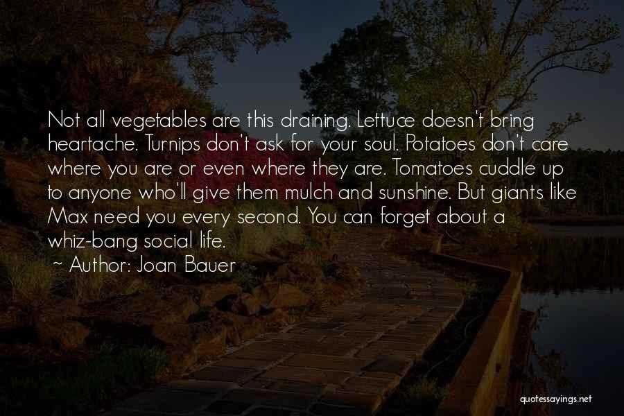 Lettuce Quotes By Joan Bauer Lettuce Quotes By Joan Bauer