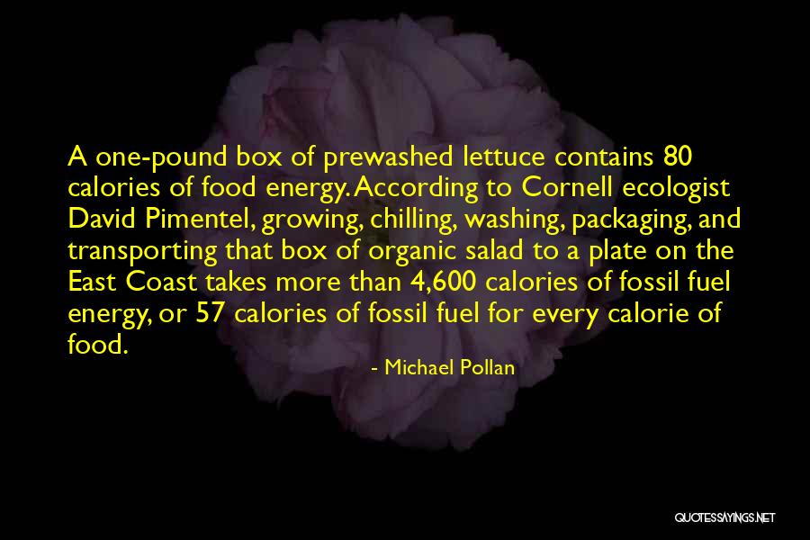 Lettuce Quotes By Michael Pollan Lettuce Quotes By Michael Pollan
