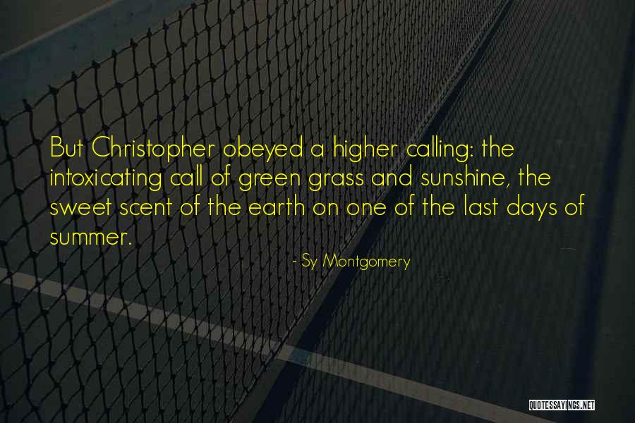 Lettysetgo Quotes By Sy Montgomery Lettysetgo Quotes By Sy Montgomery