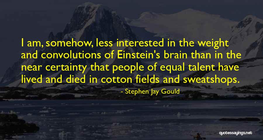 Letura Idigima Quotes By Stephen Jay Gould Letura Idigima Quotes By Stephen Jay Gould