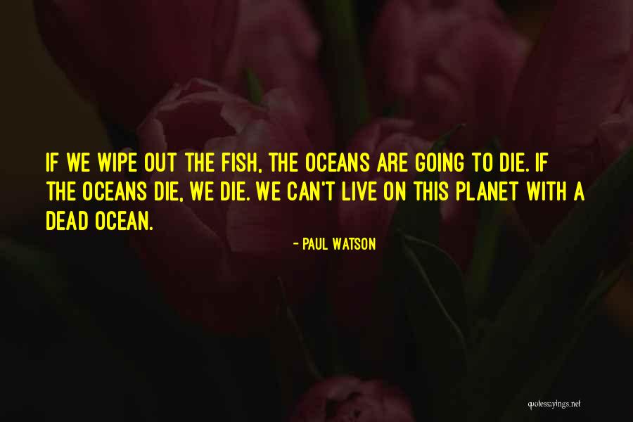Letzten Winter Quotes By Paul Watson Letzten Winter Quotes By Paul Watson