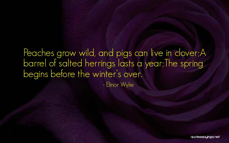 Leubner Kennels Quotes By Elinor Wylie Leubner Kennels Quotes By Elinor Wylie