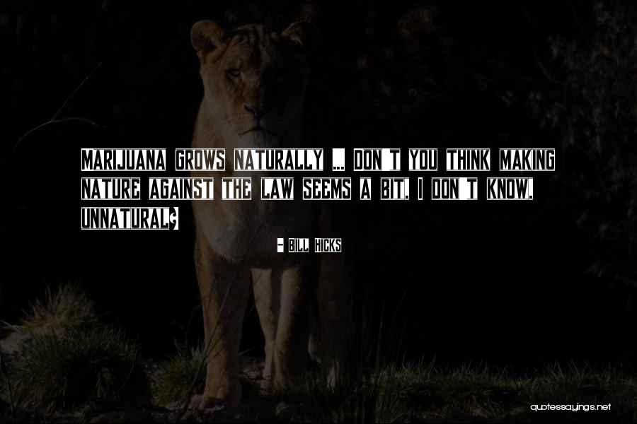Leuviah Pronunciation Quotes By Bill Hicks Leuviah Pronunciation Quotes By Bill Hicks