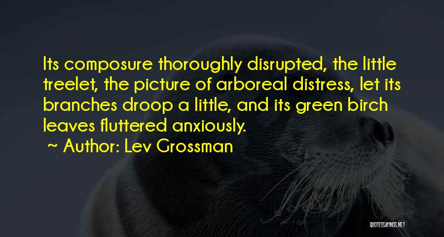 Lev Grossman Quotes 1097537