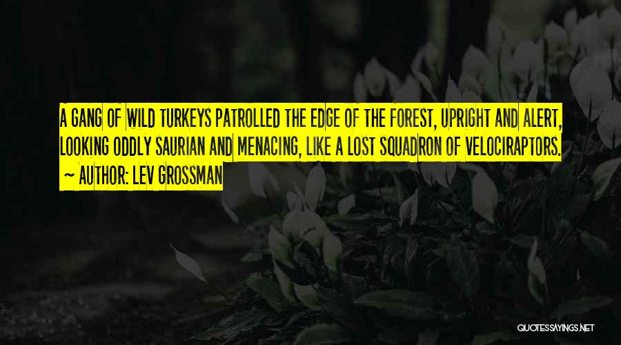 Lev Grossman Quotes 1401921