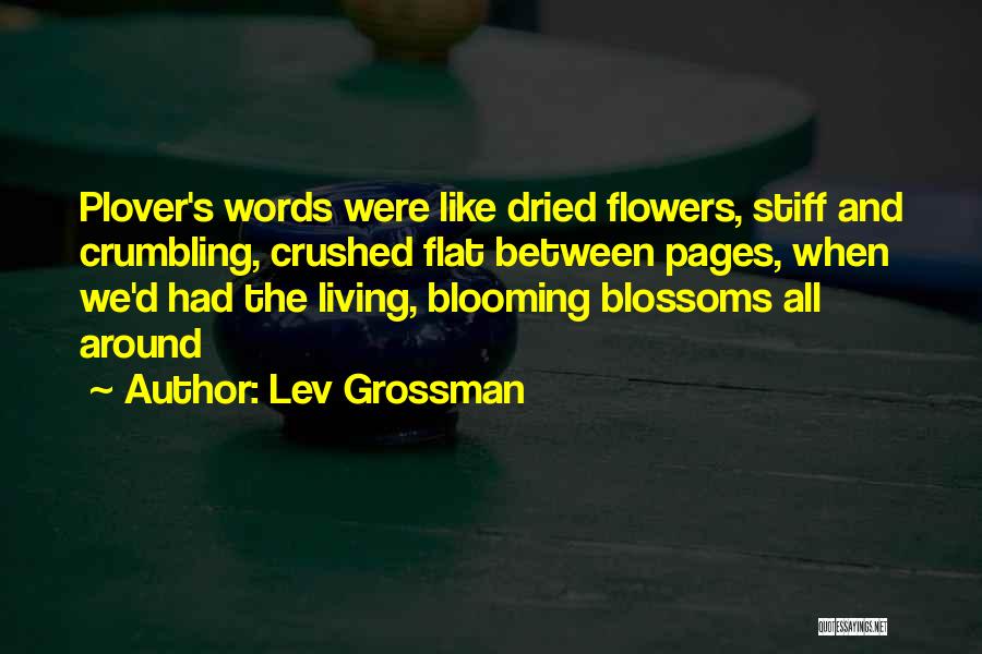 Lev Grossman Quotes 1613273