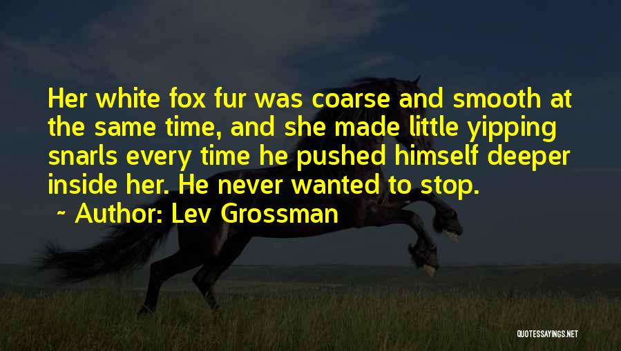 Lev Grossman Quotes 1975799