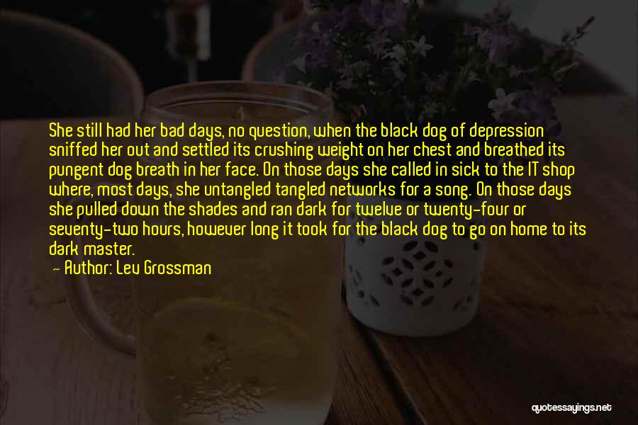 Lev Grossman Quotes 2210339