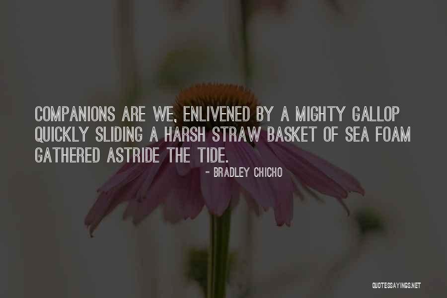 Levantski Quotes By Bradley Chicho Levantski Quotes By Bradley Chicho