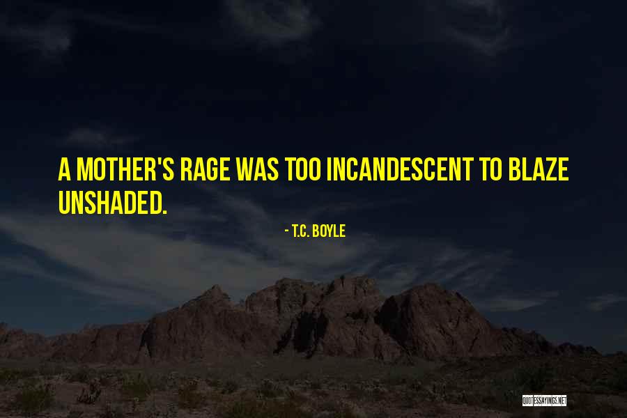 Levasseur Quotes By T.C. Boyle Levasseur Quotes By T.C. Boyle