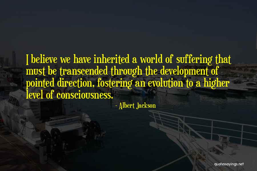 Level Of Consciousness Quotes By Albert Jackson Level Of Consciousness Quotes By Albert Jackson