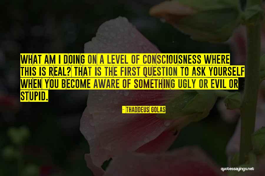 Level Of Consciousness Quotes By Thaddeus Golas Level Of Consciousness Quotes By Thaddeus Golas