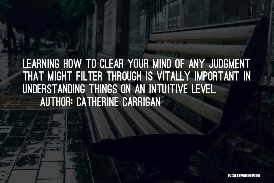 Level Of Understanding Quotes By Catherine Carrigan