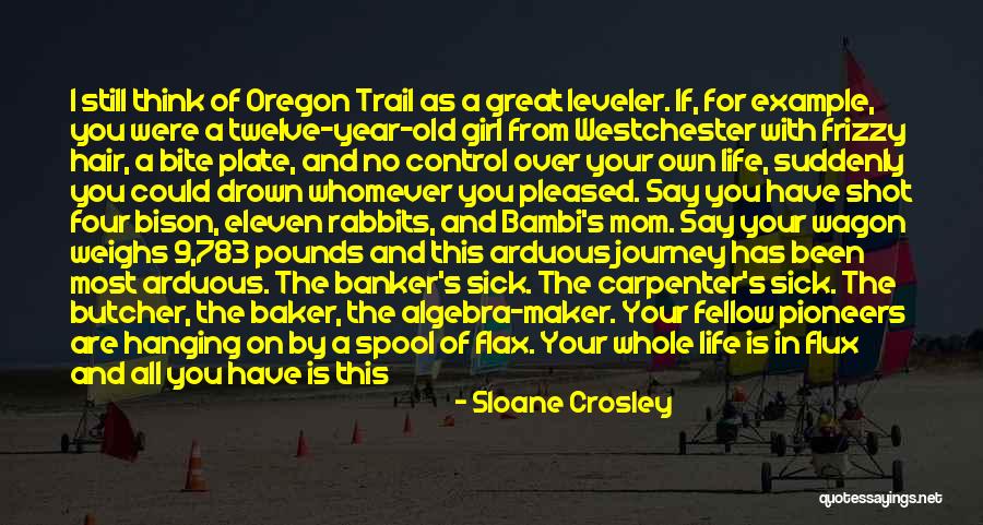 Leveler Quotes By Sloane Crosley Leveler Quotes By Sloane Crosley