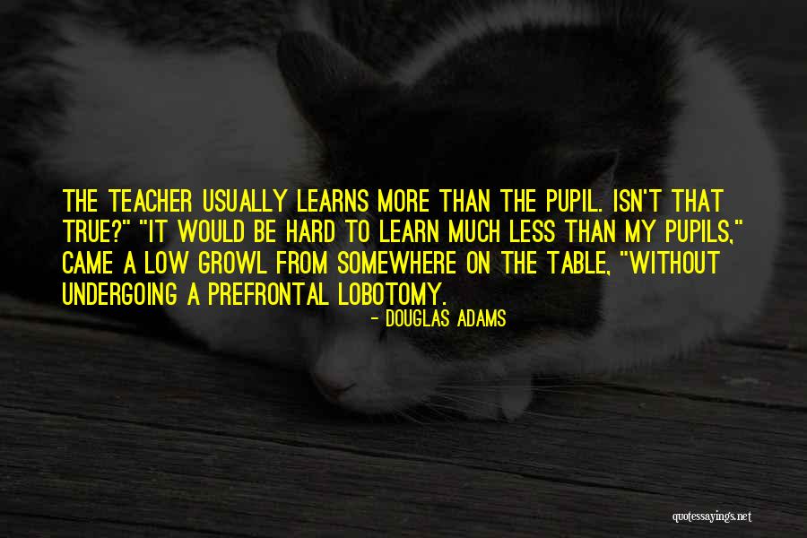 Levelers For Motorhomes Quotes By Douglas Adams Levelers For Motorhomes Quotes By Douglas Adams
