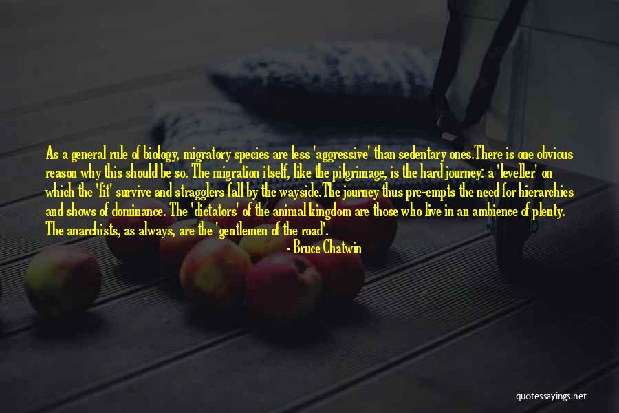 Leveller Quotes By Bruce Chatwin Leveller Quotes By Bruce Chatwin