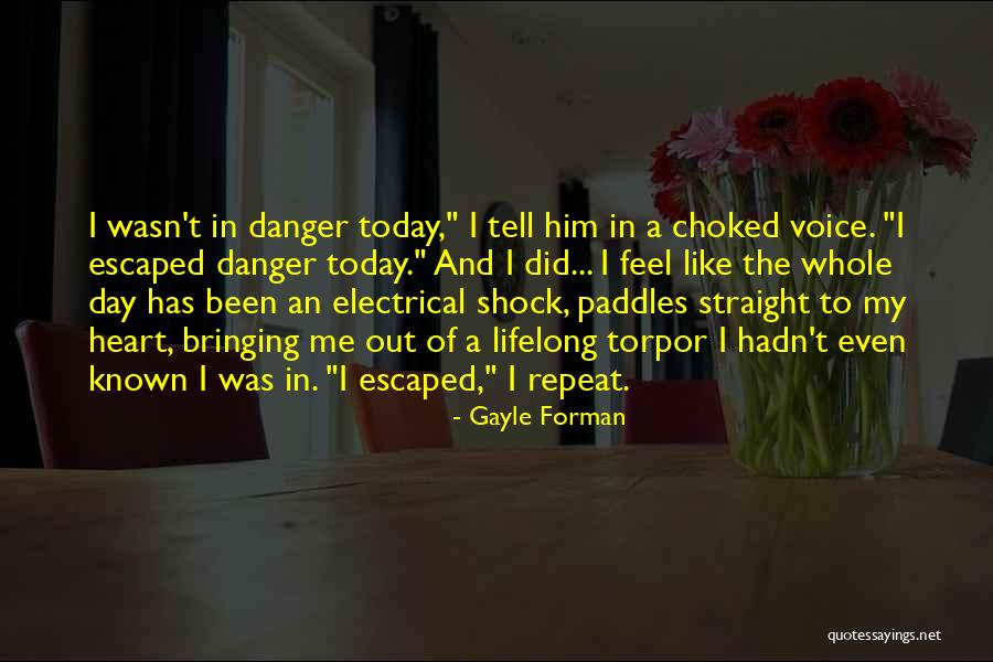 Levende Waters Quotes By Gayle Forman Levende Waters Quotes By Gayle Forman