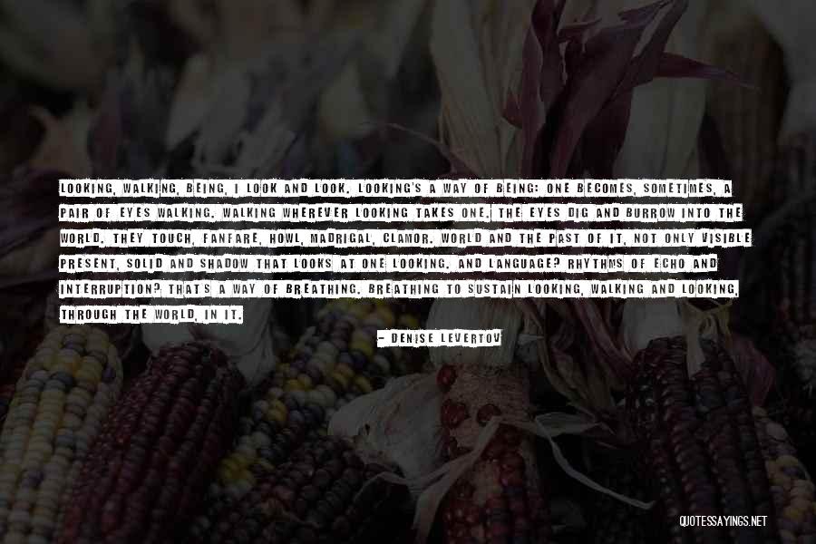 Levertov Quotes By Denise Levertov Levertov Quotes By Denise Levertov