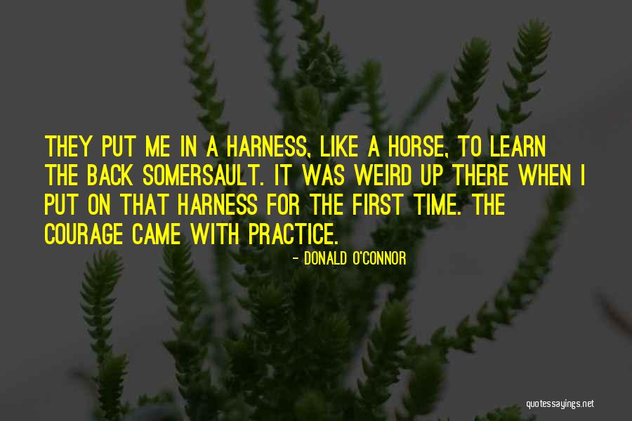 Levied Taxes Quotes By Donald O'Connor Levied Taxes Quotes By Donald O'Connor