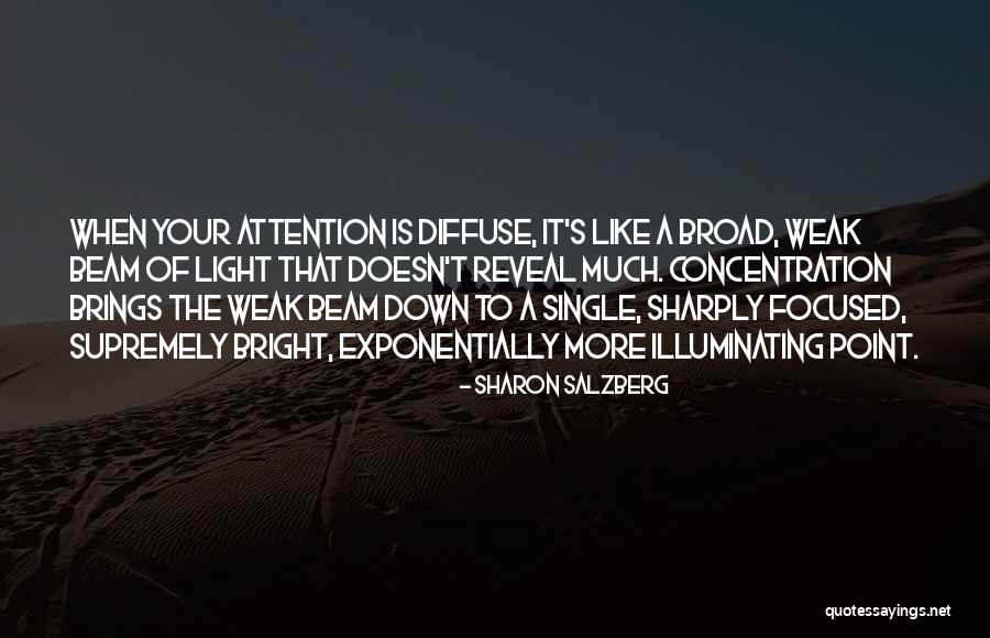 Leviness Quotes By Sharon Salzberg Leviness Quotes By Sharon Salzberg