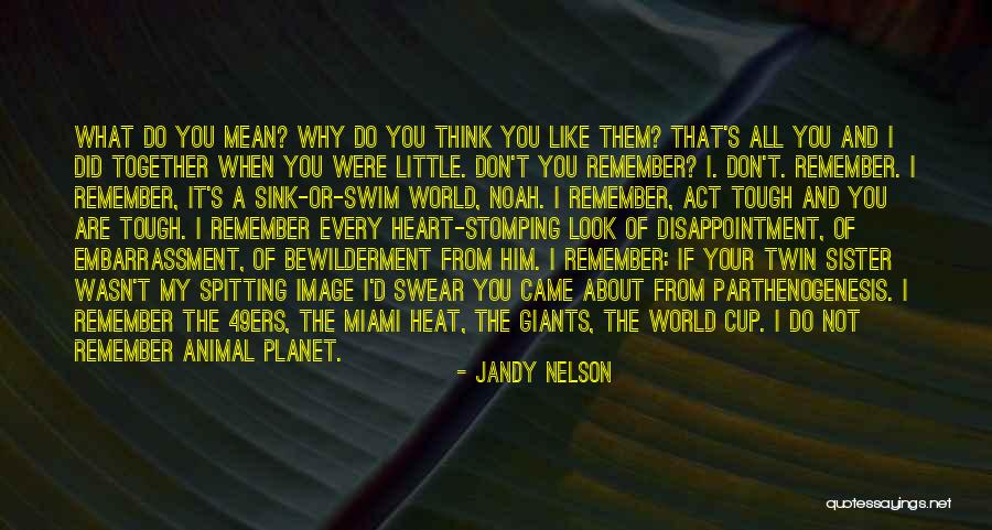 Levitan Realty Quotes By Jandy Nelson Levitan Realty Quotes By Jandy Nelson