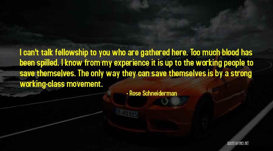 Levitas Design Quotes By Rose Schneiderman Levitas Design Quotes By Rose Schneiderman