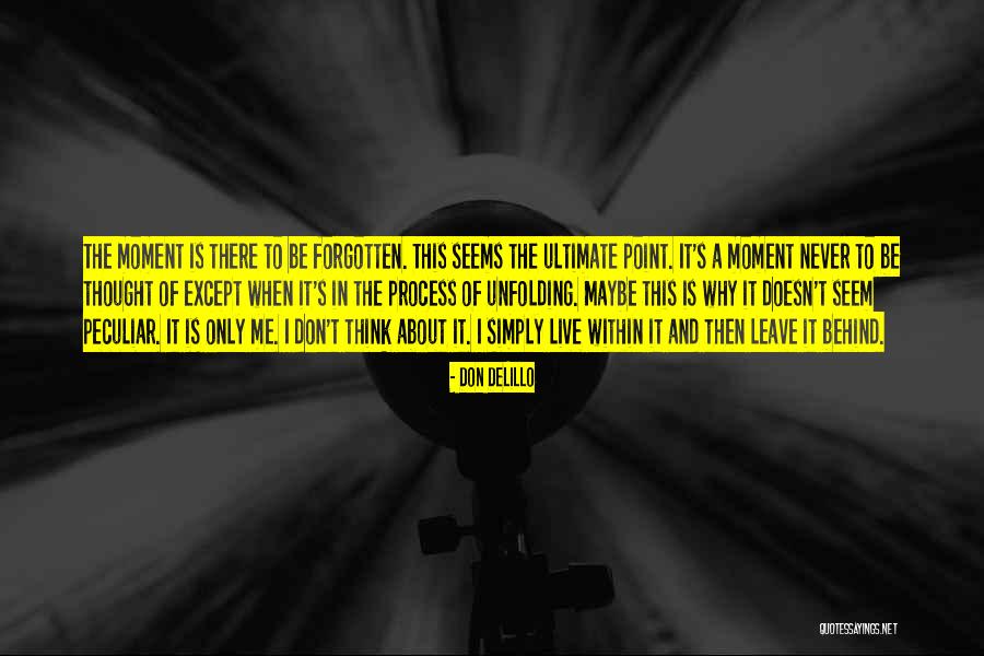 Leviter Francais Quotes By Don DeLillo Leviter Francais Quotes By Don DeLillo