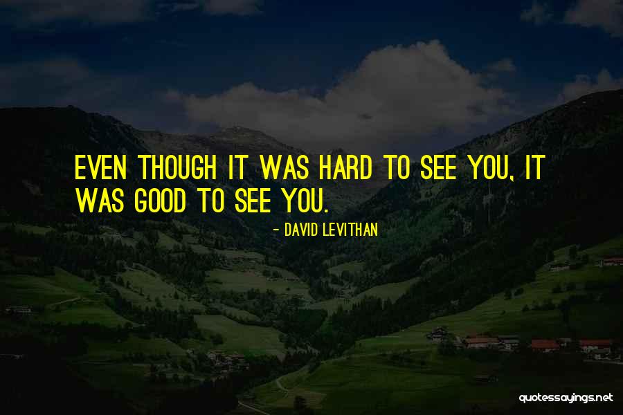 Levithan Quotes By David Levithan