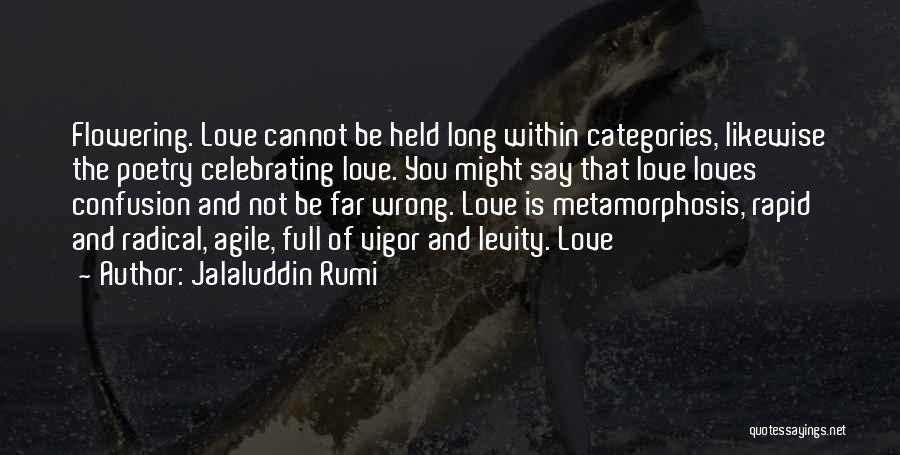 Levity Quotes By Jalaluddin Rumi