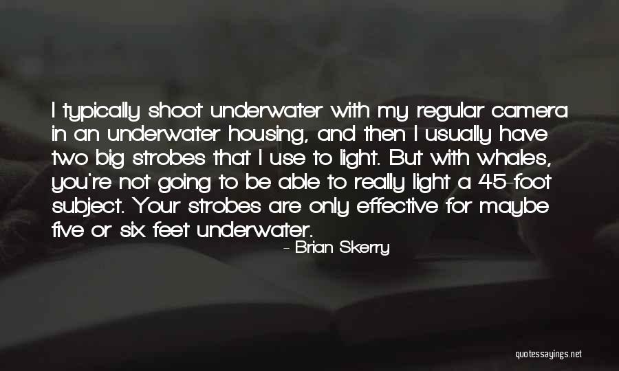 Levlen 28 Quotes By Brian Skerry Levlen 28 Quotes By Brian Skerry