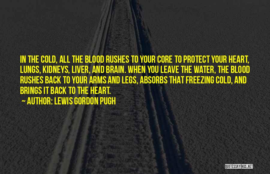 Lewis Gordon Pugh Quotes 1636670