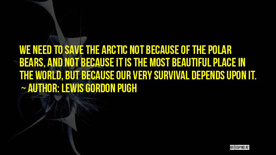 Lewis Gordon Pugh Quotes 1713866