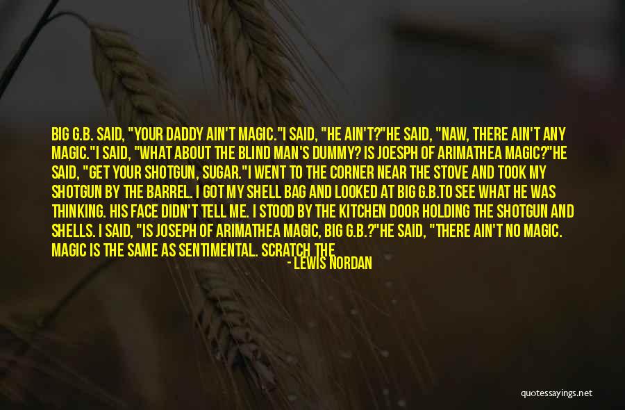 Lewis Nordan Quotes 551014 Lewis Nordan Quotes 551014