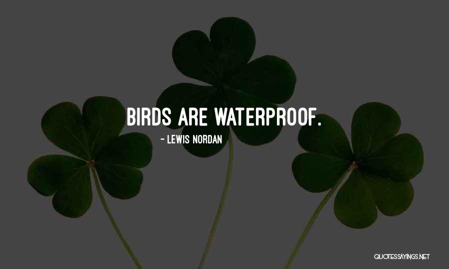 Lewis Nordan Quotes 956573 Lewis Nordan Quotes 956573