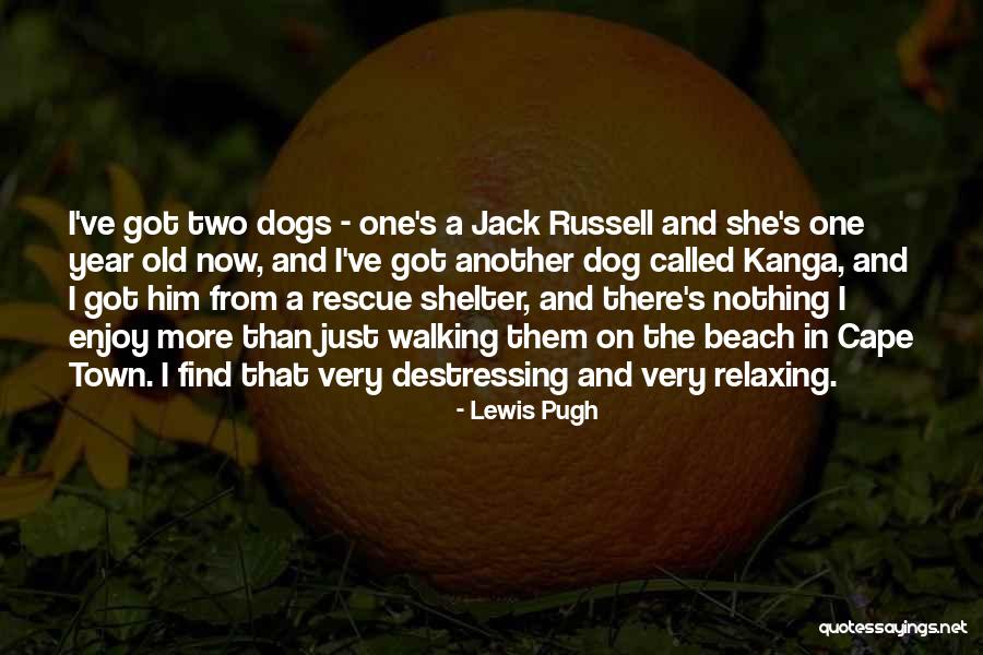 Lewis Pugh Quotes 1483195