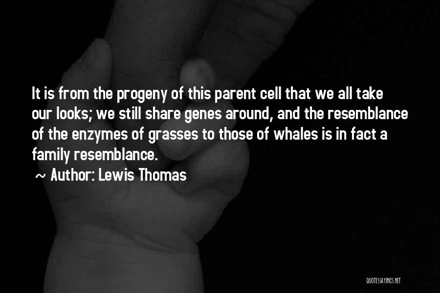 Lewis Thomas Quotes 600613