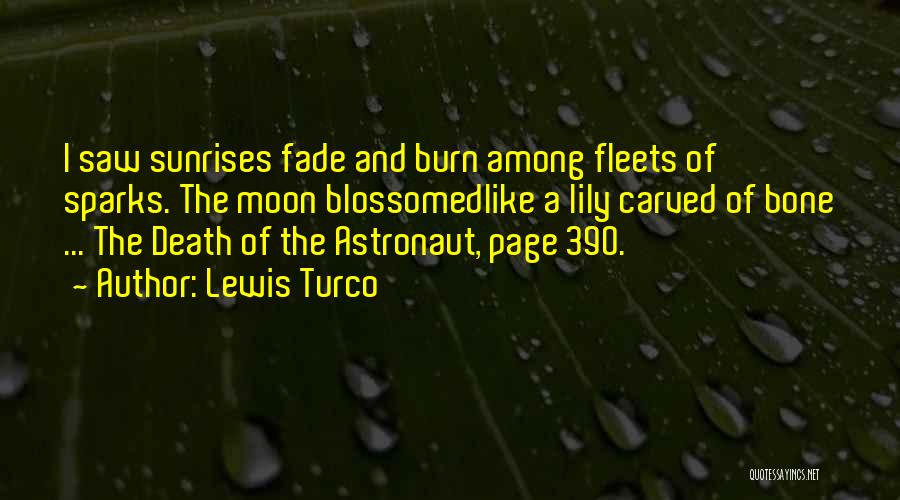 Lewis Turco Quotes 205102