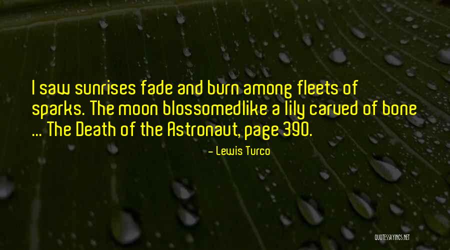 Lewis Turco Quotes 205102 Lewis Turco Quotes 205102