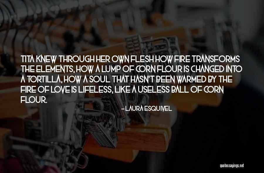 Lewiss Quotes By Laura Esquivel Lewiss Quotes By Laura Esquivel